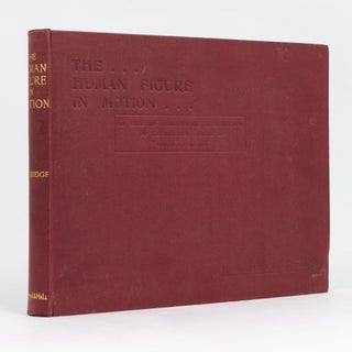 Item #127587 The Human Figure in Motion. An Electro-Photographic Investigation of Consecutive...