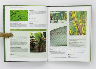 Diseases of Fruit Crops in Australia