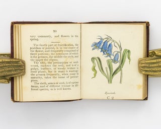 Botanical Illustrations of the Twenty-Four Classes in the Linnaean System of Vegetables, by Select Specimens of English Plants