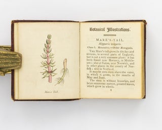 Botanical Illustrations of the Twenty-Four Classes in the Linnaean System of Vegetables, by Select Specimens of English Plants