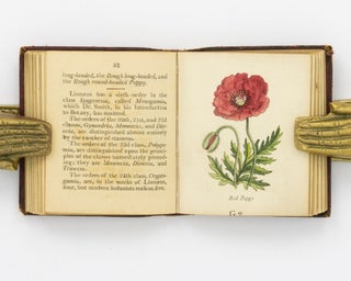 Botanical Illustrations of the Twenty-Four Classes in the Linnaean System of Vegetables, by Select Specimens of English Plants