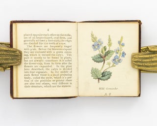 Botanical Illustrations of the Twenty-Four Classes in the Linnaean System of Vegetables, by Select Specimens of English Plants