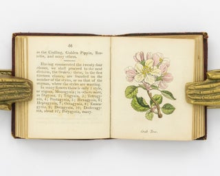 Botanical Illustrations of the Twenty-Four Classes in the Linnaean System of Vegetables, by Select Specimens of English Plants