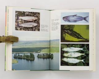 Freshwater Fishes of the British Isles