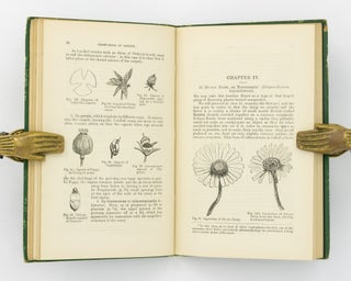 Introductory Class-Book of Botany, for use in New Zealand Schools. Part I. - Structural. Part II. - Systematic