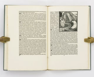 De Cupidinis et Psyches Amoribus Fabula Anilis