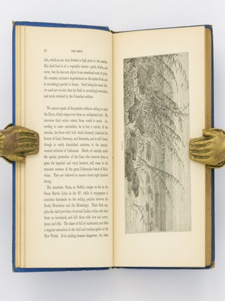 In The Temperate Regions; or Nature and Natural History in the Temperate Zones. With Anecdotes and Stories of Adventure and Travel