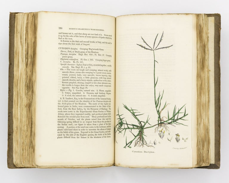 Item #130950 Hortus Gramineus Woburnensis, or, An Account of the Results of Experiments on the Produce and Nutritive Qualities of Different Grasses and Other Plants used as the Food of the More Valuable Domestic Animals. George SINCLAIR.