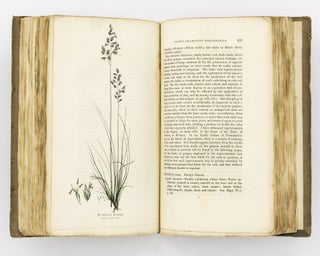 Hortus Gramineus Woburnensis, or, An Account of the Results of Experiments on the Produce and Nutritive Qualities of Different Grasses and Other Plants used as the Food of the More Valuable Domestic Animals ...