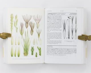 Grasses of South Australia. An Illustrated Guide to the Native and Naturalised Species