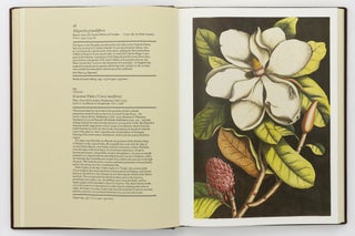 The Book of Flowers. Four Centuries of Flower Illustration