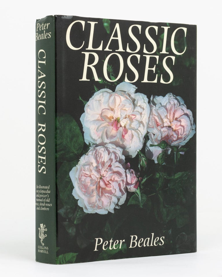 Item #132394 Classic Roses. An Illustrated Encyclopedia and Grower's Manual of Old Roses, Shrub Roses and Climbers. Peter BEALES.