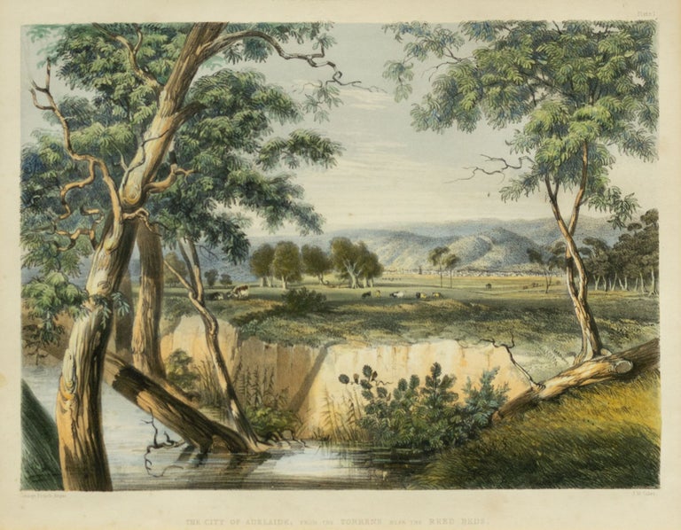 Item #132804 The City of Adelaide from the Torrens near the Reed Beds. George French ANGAS, Australia.