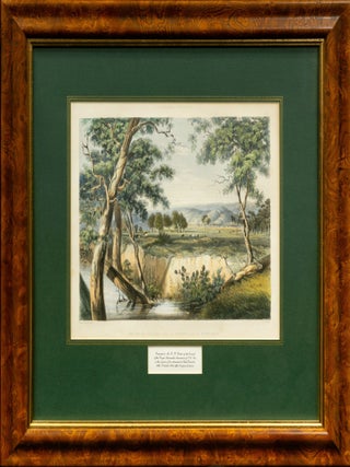The City of Adelaide from the Torrens near the Reed Beds