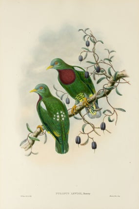 Item #132966 Ptilopus Lewisii [Lewis's Fruit Pigeon]. John GOULD, William Matthew HART