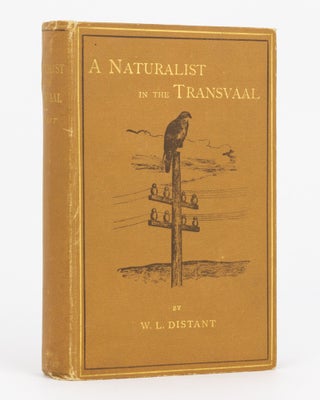 Item #133109 A Naturalist in the Transvaal. William Lucas DISTANT