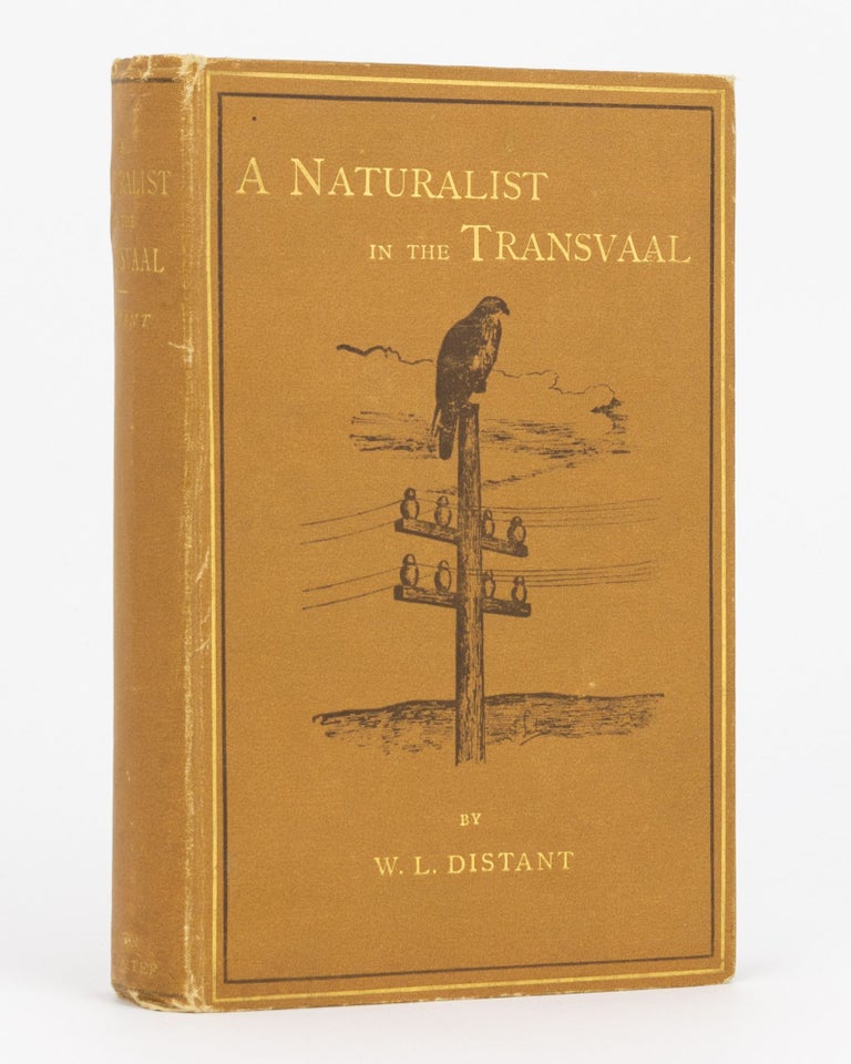 Item #133109 A Naturalist in the Transvaal. William Lucas DISTANT.
