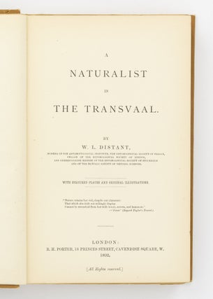 A Naturalist in the Transvaal