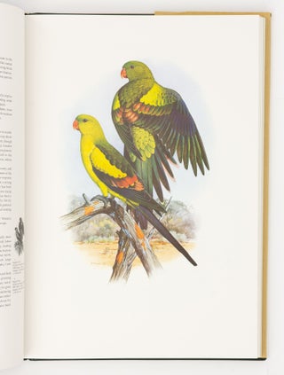 Australian Parrots