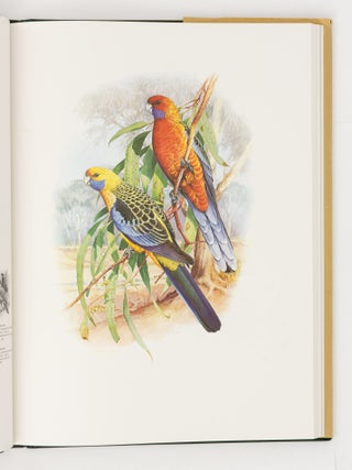 Australian Parrots