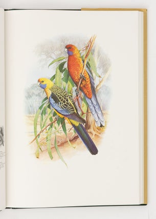 Australian Parrots