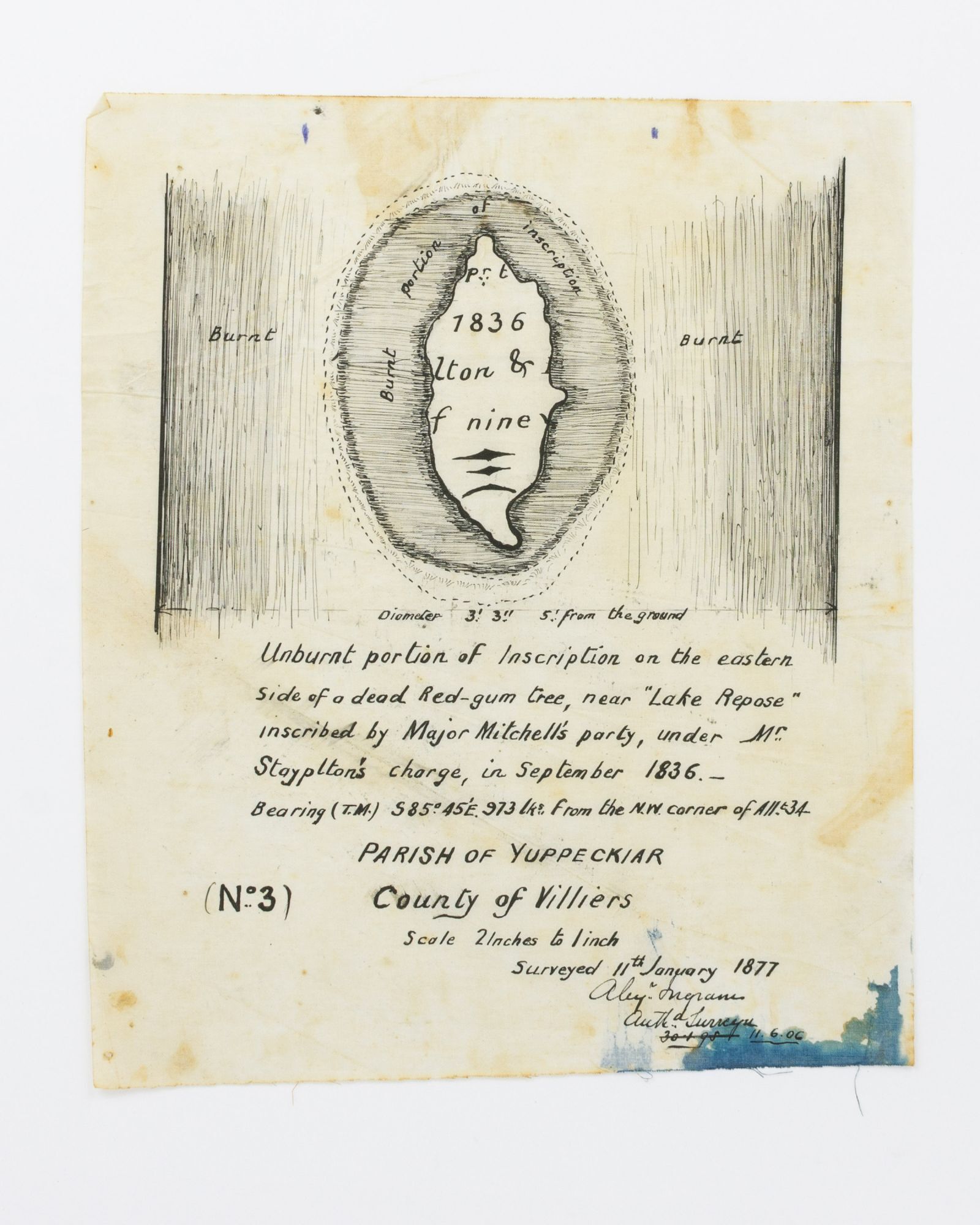 Tae Rak Map A group of maps and drawings compiled by colonial surveyor Alexander ...