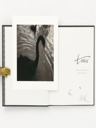 Trace. Photographs by Robert Ashton. Poems by Gregory Day