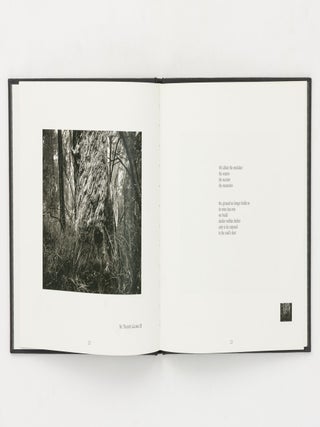 Trace. Photographs by Robert Ashton. Poems by Gregory Day