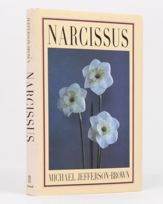 Item #136445 Narcissus. Michael JEFFERSON-BROWN