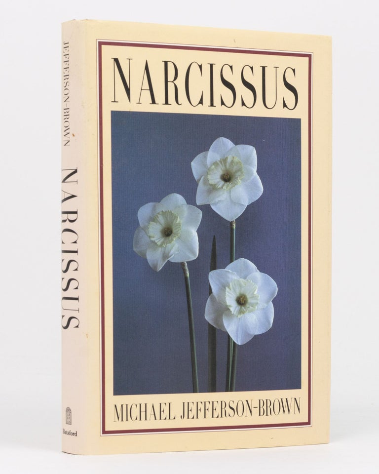 Item #136445 Narcissus. Michael JEFFERSON-BROWN.