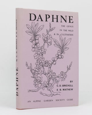 Item #136453 Daphne. The Genus in the Wild and in Cultivation. C. D. BRICKELL, B. MATHEW