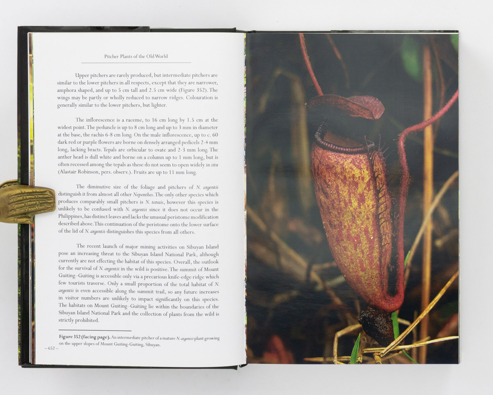 Pitcher Plants of the Old World. Volume Two | Stewart McPHERSON | First  Edition