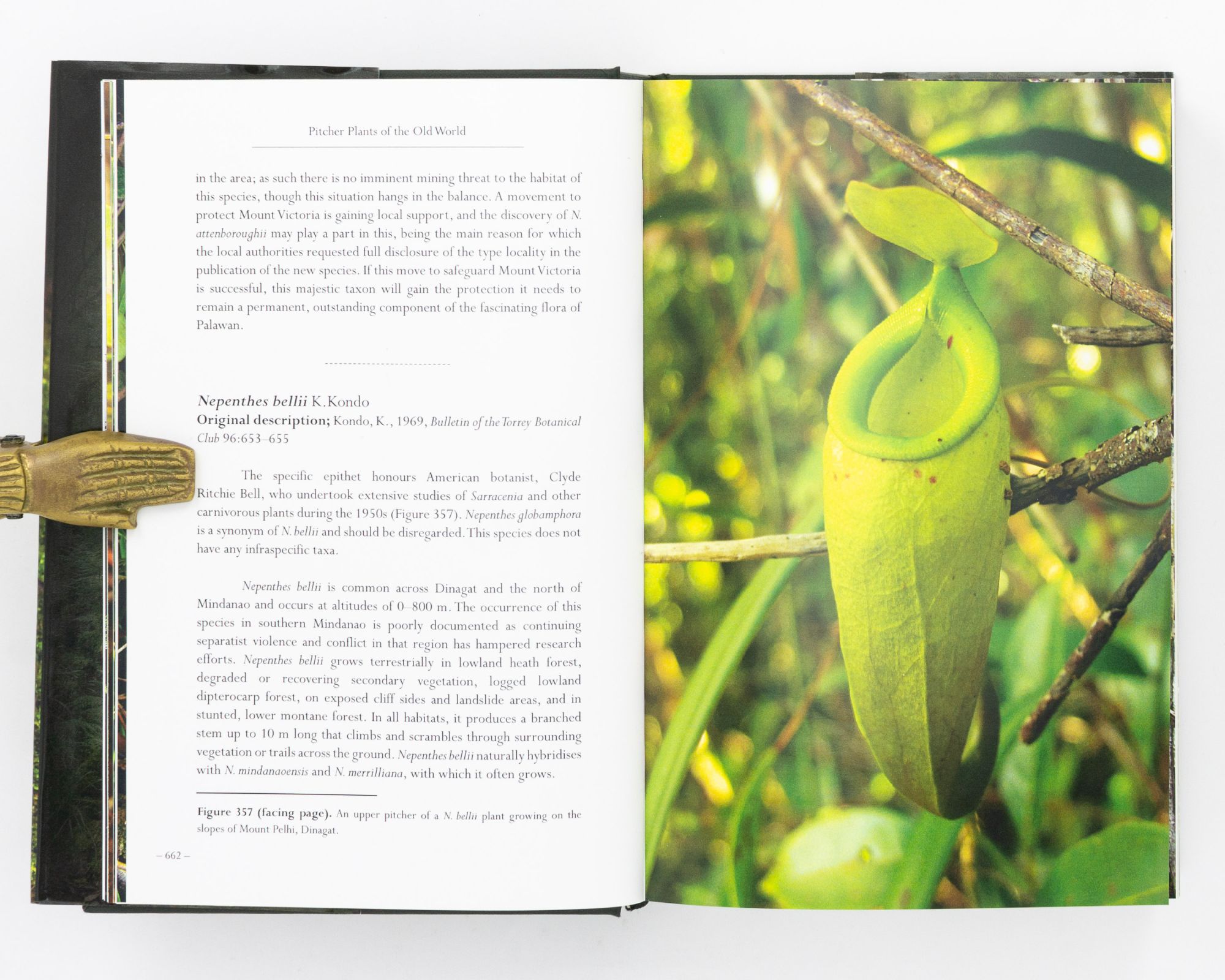 Pitcher Plants of the Old World. Volume Two | Stewart McPHERSON | First  Edition