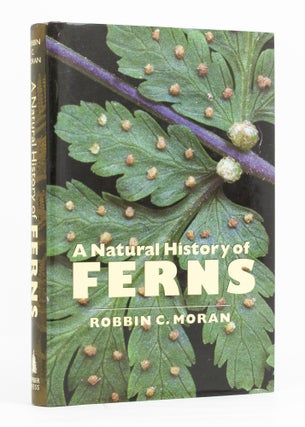 Item #136579 A Natural History of Ferns. Robbin C. MORAN