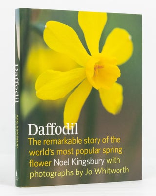 Item #136583 Daffodil. The Remarkable Story of the World's Most Popular Spring Flower. Noel...