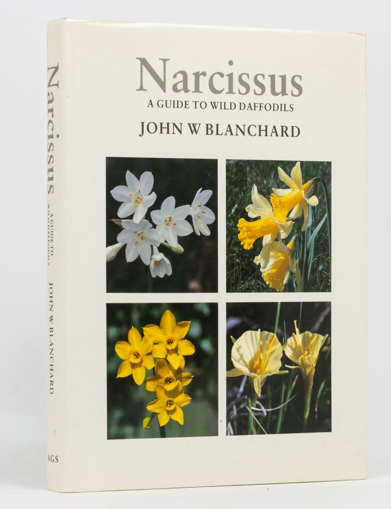 Item #136652 Narcissus. A Guide to Wild Daffodils. John W. BLANCHARD.
