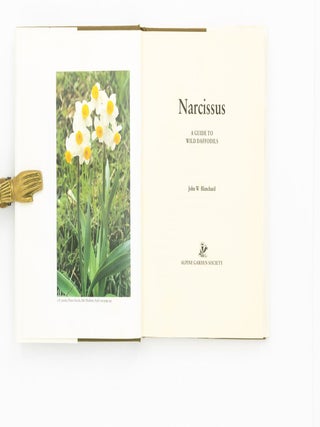 Narcissus. A Guide to Wild Daffodils