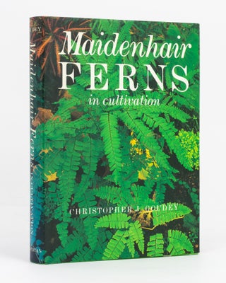 Item #136725 Maidenhair Ferns in Cultivation. Christopher J. GOUDEY