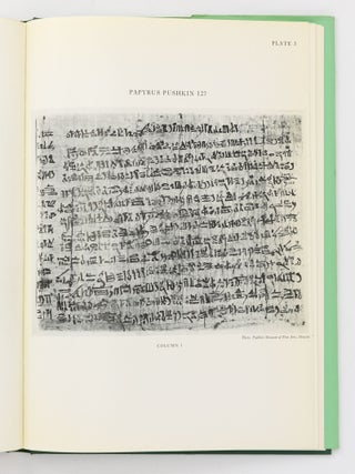 A Tale of Woe from a Hieratic Papyrus in the A.S. Pushkin Museum of Fine Arts in Moscow