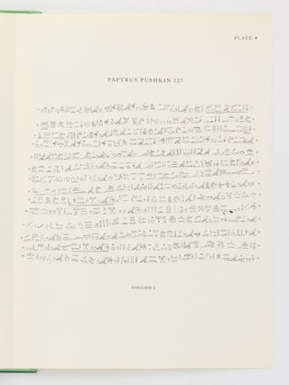 A Tale of Woe from a Hieratic Papyrus in the A.S. Pushkin Museum of Fine Arts in Moscow