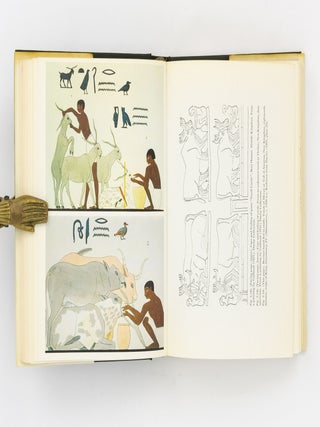 Food. The Gift of Osiris