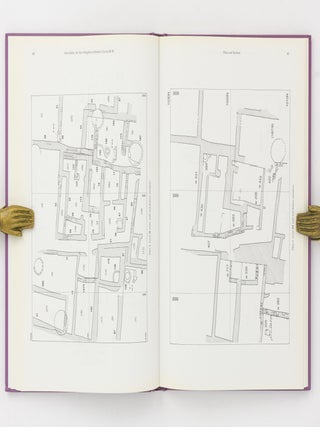 Survey of Memphis V. Kom Rabia: The New Kingdom Settlement (Levels II-V)