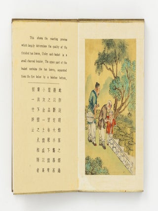 The Story of Tea, with Hand Paintings