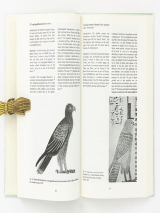 The Birds of Ancient Egypt