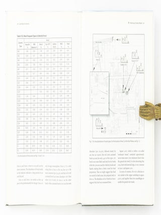 Giza Reports. The Giza Plateau Mapping Project. Volume I: Project History, Survey, Ceramics, and the Main Street and Gallery III.4 Operations