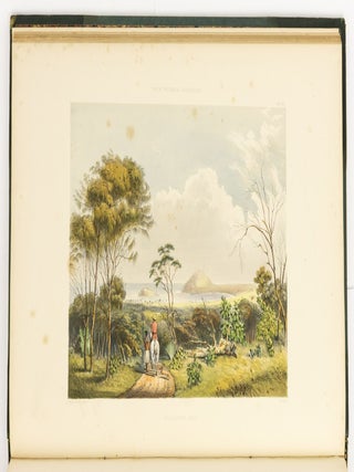 South Australia Illustrated