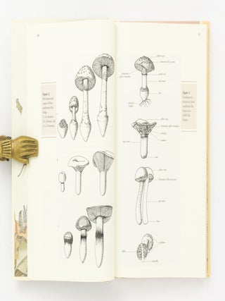 Fungi of Southern Australia