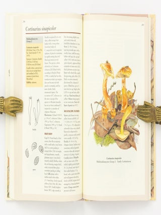 Fungi of Southern Australia