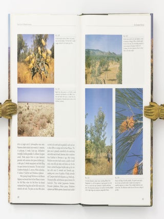 Plant Life of Western Australia