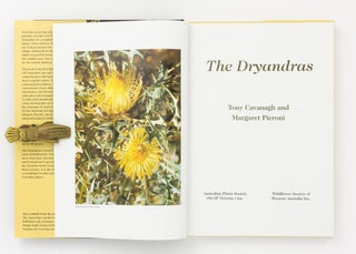The Dryandras